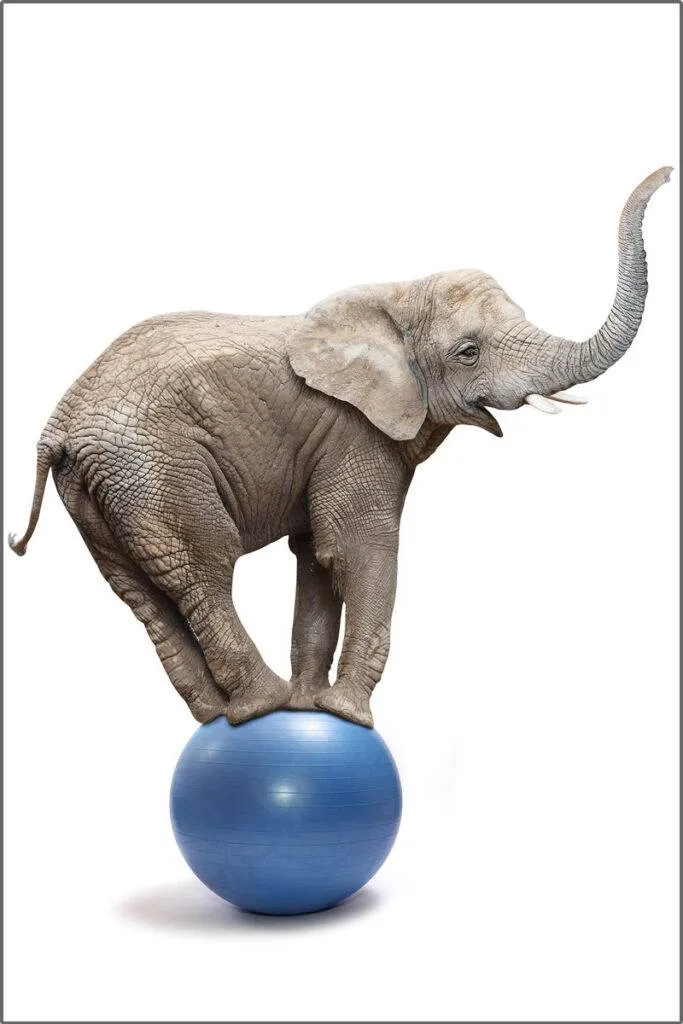 About Balance Institute Of Indiana